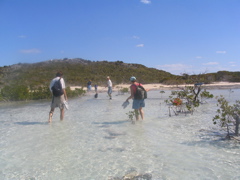 off the beaten path, Waterick