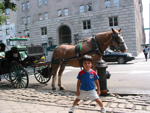 EliasHorseyCentralParkAug19th2004