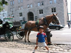 EliasHorseyCentralParkAug19th2004