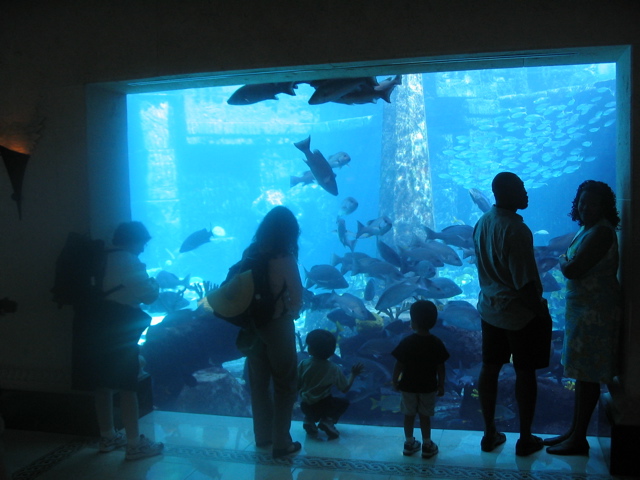 Atlantis Aquarium